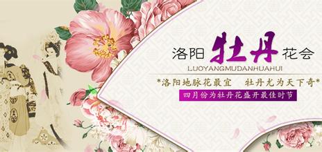 ĵ�������TƱ